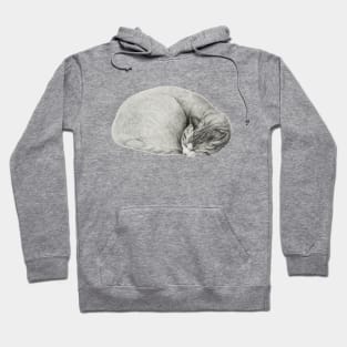 Rolled up lying, sleeping cat by Jean Bernard Hoodie